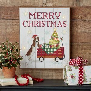 The Pioneer Woman LED Hanging Sign, Merry Christmas